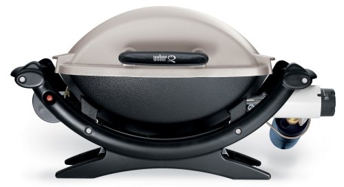 Weber q 2024 100 grill